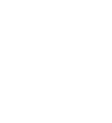 Rasterion